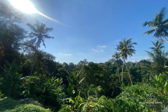 Image 3 from 10 are tanah di kawasan perumahan Nyanyi dijual leasehold