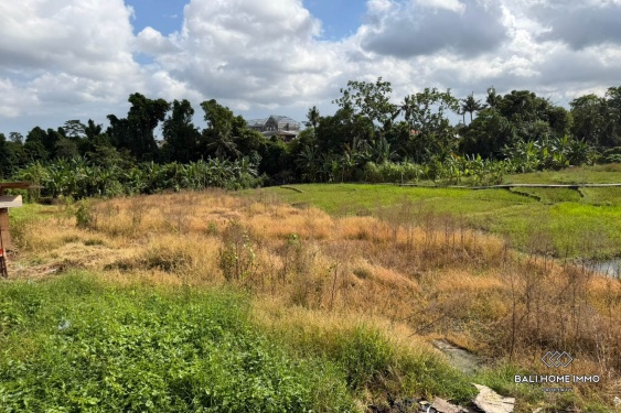 Image 2 from 10 are land with rice field view for sale leasehold in Tumbak Bayuh Pererenan