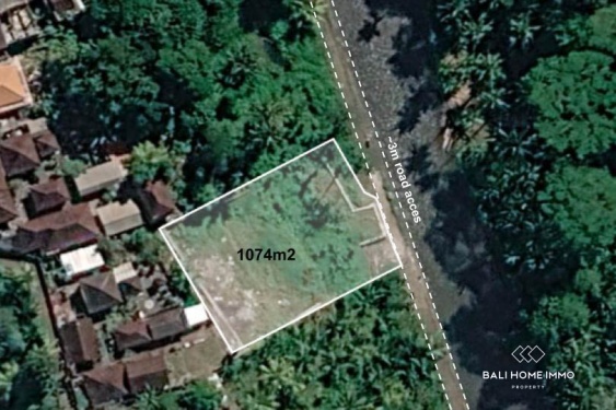 10 TERRAINS AVEC VUE SUR LA RIVIÈRE ET LA JUNGLE À VENDRE À UBUD