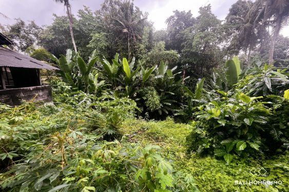 Image 4 from 10 are land with river view for sale leasehold in Cepaka