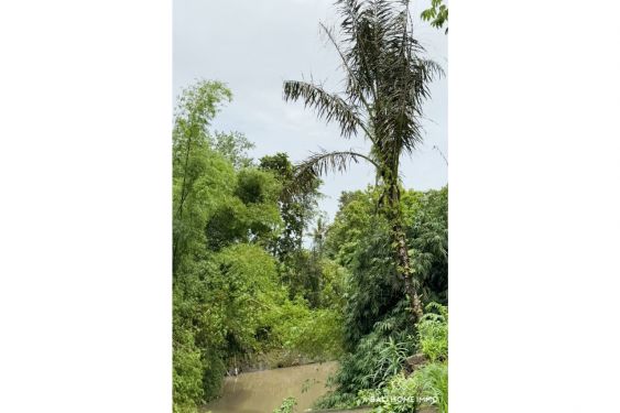 Image 6 from 10 are land with river view for sale leasehold in Cepaka