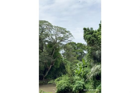 Image 5 from 10 are land with river view for sale leasehold in Cepaka