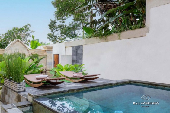 Image 4 from 10 Bedroom Investment Villa for Sale in Ubud