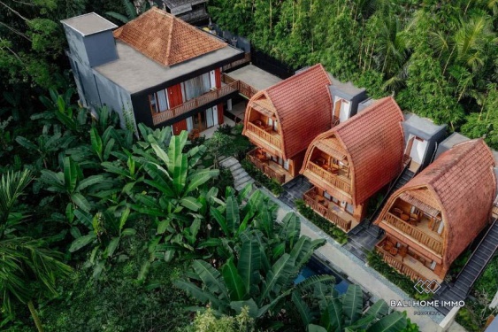 Image 19 from 10 Bedroom Investment Villa for Sale in Ubud