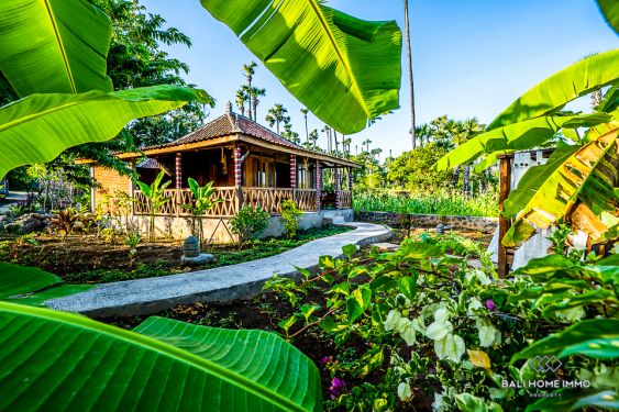 Image 3 from 10 Bedroom Serene Villa & Bungalows Compound For Sale in Amed Karangasem Bali