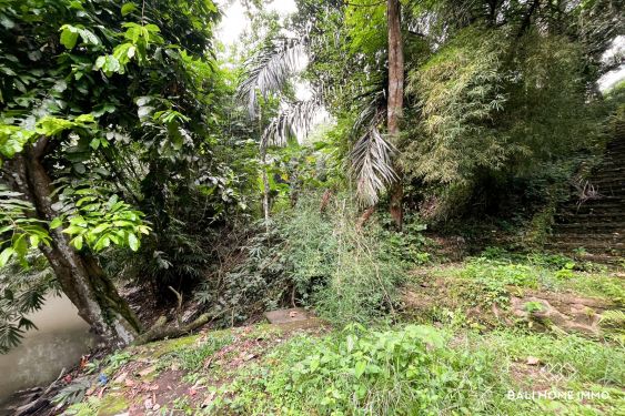 Image 3 from 11 are tanah pinggir sungai dijual hak guna usaha di cepaka