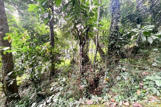 Image 2 from 11 are tanah pinggir sungai dijual hak guna usaha di cepaka