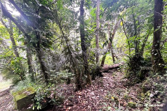 Image 3 from 11 are riverside land for sale leasehold in cepaka