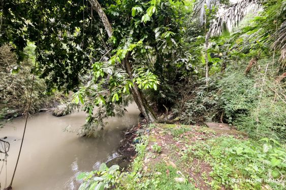 Image 2 from 11 are tanah pinggir sungai dijual hak guna usaha di cepaka