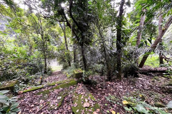 Image 3 from 11 are riverside land for sale leasehold in cepaka