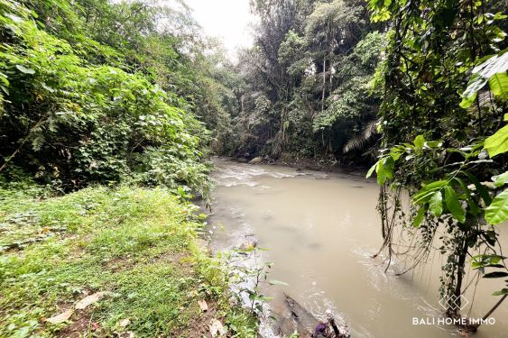Image 3 from 11 are tanah pinggir sungai dijual hak guna usaha di cepaka