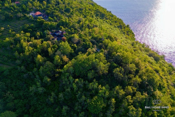 Image 6 from Tanah seluas 110 are berpemandangan laut dijual dengan hak guna usaha di Nusa Penida