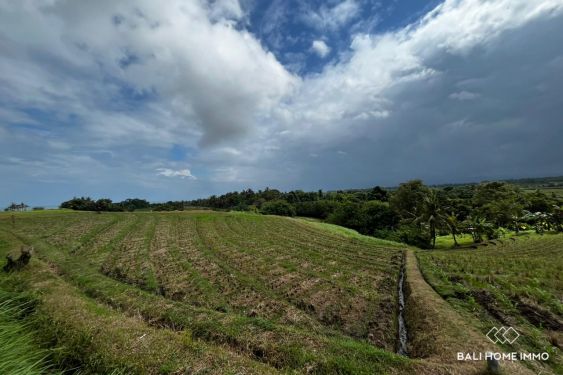 Image 6 from Terrain riverain de 114,5 ares à vendre en pleine propriété à Kelecung Tabanan