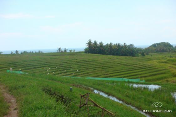 Image 7 from Terrain riverain de 114,5 ares à vendre en pleine propriété à Kelecung Tabanan