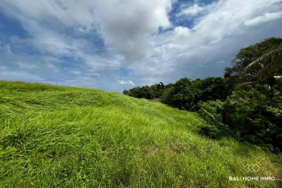 Image 4 from Terrain riverain de 114,5 ares à vendre en pleine propriété à Kelecung Tabanan