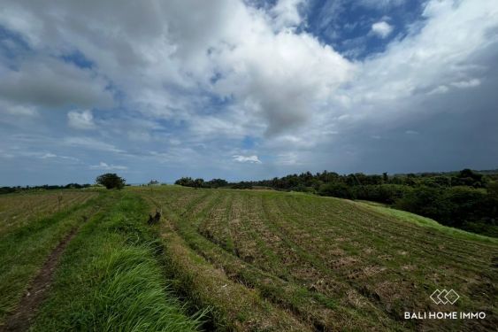 Image 5 from Terrain riverain de 114,5 ares à vendre en pleine propriété à Kelecung Tabanan