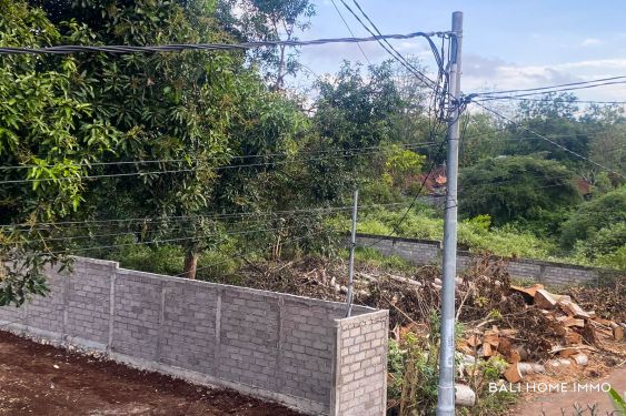 Image 4 from 12 ARE TANAH DIJUAL HAK MILIK DI BALI DEKAT PANTAI BALANGAN