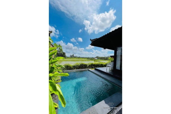 Image 17 from 12 Bedroom Modern Villa with ricefield view for sale leasehold in Ubud