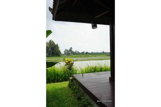 Image 15 from 12 Bedroom Modern Villa with ricefield view for sale leasehold in Ubud