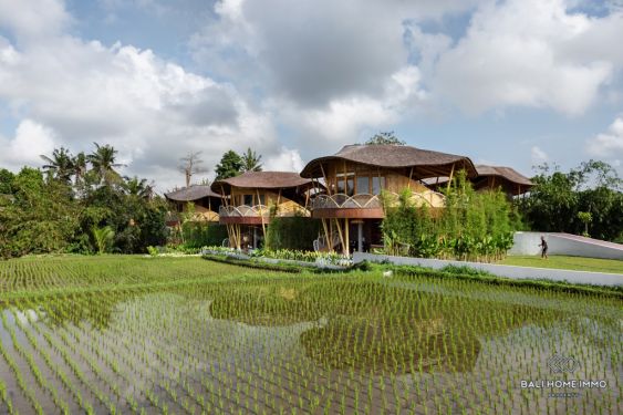 Image 12 from 12 Bedroom Villa With Ricefield View for sale in Ubud