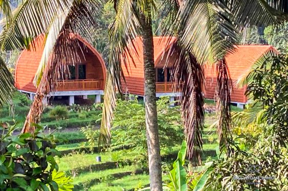 Image 4 from 14 Bedroom Resort For Sale in the Middle of Ricefields in Tabanan Bali