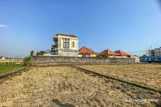 Image 2 from 15.80 Are land for sale leasehold in Bali Cemagi
