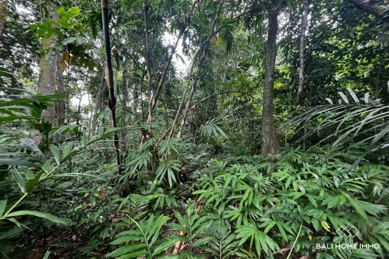 Image 5 from Terrain de 15 ares à vendre avec vue sur la rivière à Kaba-Kaba Tanah Lot