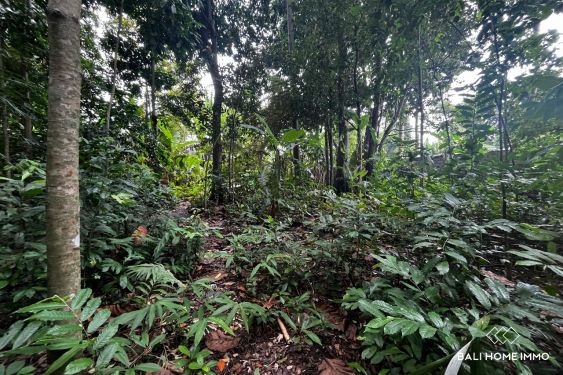 Image 4 from Terrain de 15 ares à vendre avec vue sur la rivière à Kaba-Kaba Tanah Lot