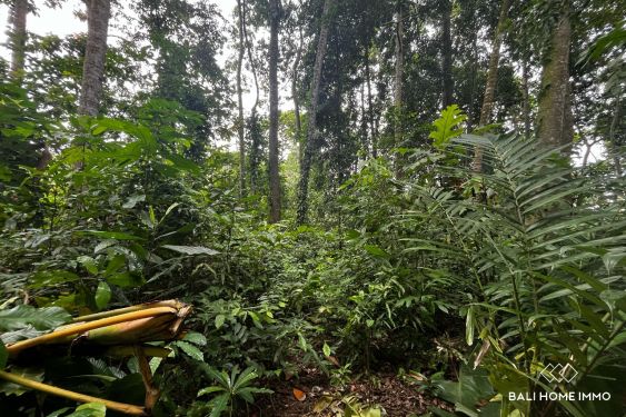 Image 6 from Terrain de 15 ares à vendre avec vue sur la rivière à Kaba-Kaba Tanah Lot