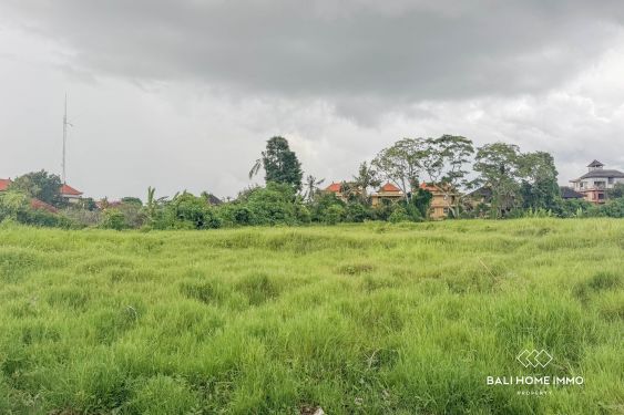 Image 2 from Terrain de 150 ares à vendre au cœur d'Ubud