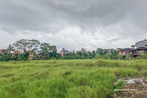 Image 3 from Terrain de 150 ares à vendre au cœur d'Ubud