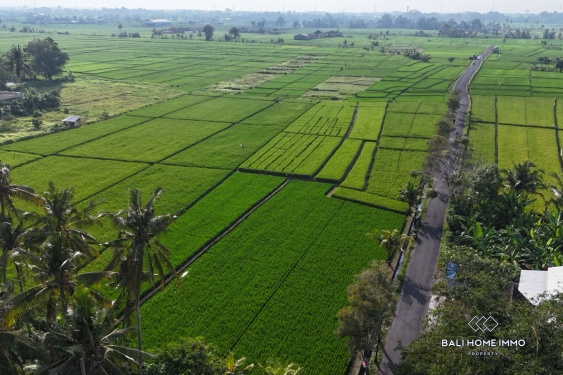 Image 6 from Dijual tanah dengan pemandangan sawah seluas 16,5 are di Kaba Kaba