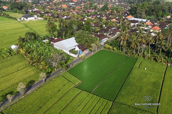 Image 5 from Dijual tanah dengan pemandangan sawah seluas 16,5 are di Kaba Kaba