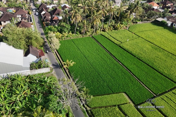 Image 2 from Dijual tanah dengan pemandangan sawah seluas 16,5 are di Kaba Kaba