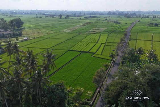 Image 7 from Dijual tanah dengan pemandangan sawah seluas 16,5 are di Kaba Kaba