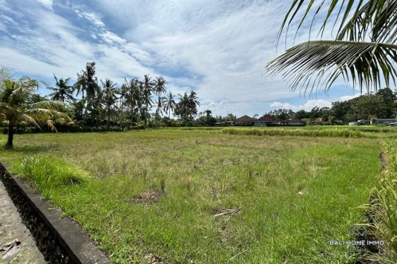 Image 2 from Terrain de 16,5 ares avec vue sur les rizières à vendre à Kaba Kaba