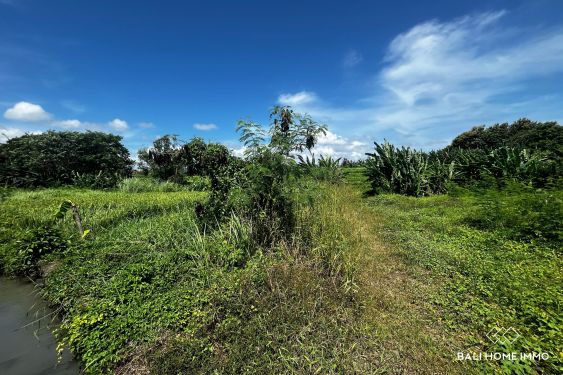 Image 2 from Terrain de 16,6 ares avec vue sur la zone verte à vendre en pleine propriété à Kedungu Bali