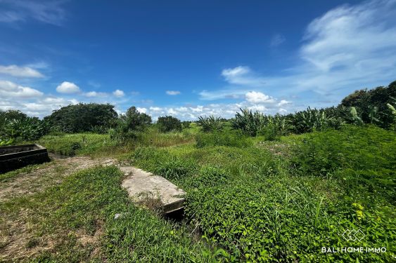 Image 2 from 16.6 are land with green zone view for sale freehold in Kedungu Bali