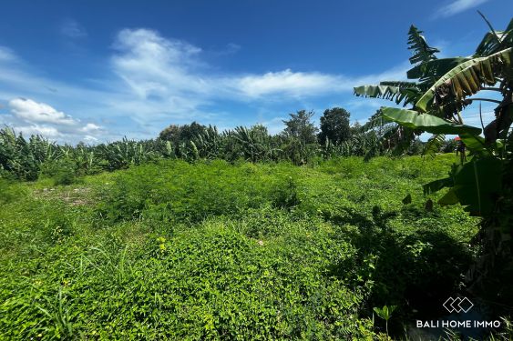 Image 3 from 16.6 are land with green zone view for sale freehold in Kedungu Bali