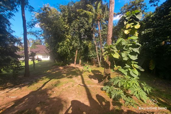 Image 3 from 16 are land for sale leasehold in Tumbak Bayuh