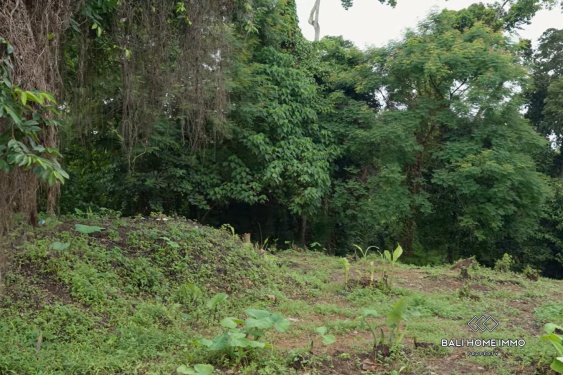 Image 4 from 17.5 are Riverside Land For Sale in Buwit