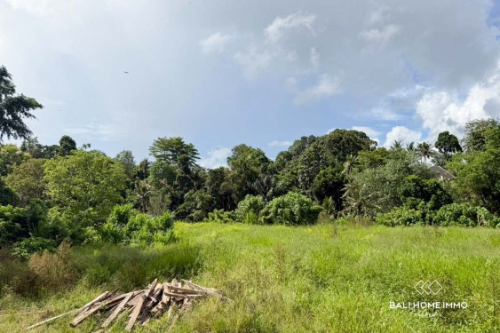 Image 4 from Riverside 17,79 Are Land For Sale in Seseh North Side