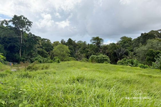 Image 2 from Riverside 17,79 Are Land For Sale in Seseh North Side