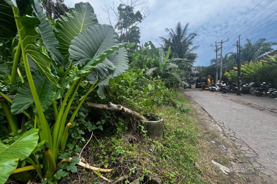 Image 7 from 18 are lahan yang dijual dengan status hak sewa di Sayan Ubud.