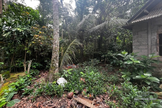 Image 4 from 18 are lahan yang dijual dengan status hak sewa di Sayan Ubud.