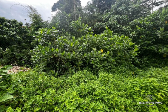 Image 3 from 18 are lahan yang dijual dengan status hak sewa di Sayan Ubud.