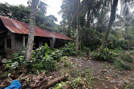 Image 9 from 18 are lahan yang dijual dengan status hak sewa di Sayan Ubud.