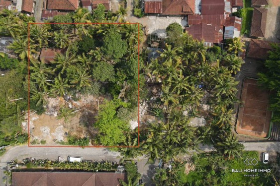 Image 2 from 18 are lahan yang dijual dengan status hak sewa di Sayan Ubud.