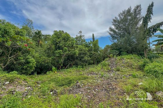 Image 3 from 18,75 acres de terrain à vendre avec vue sur les rizières dans le nord de Canggu.