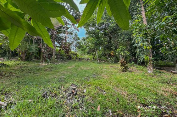Image 2 from 18,75 acres de terrain à vendre avec vue sur les rizières dans le nord de Canggu.